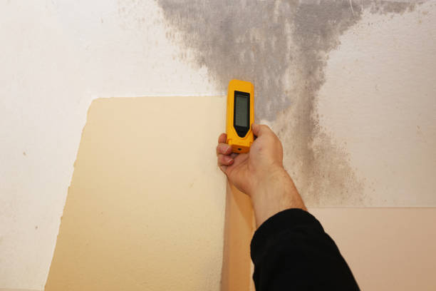 Best Emergency Mold Remediation  in Prices Fork, VA