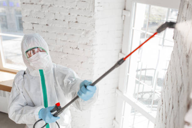 Mold Removal for HVAC Installations in Prices Fork, VA